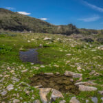 Basin and Range Trail Thru Hike Section 7 079