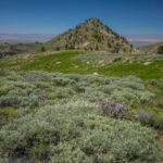 Basin and Range Trail Thru Hike Section 7 080