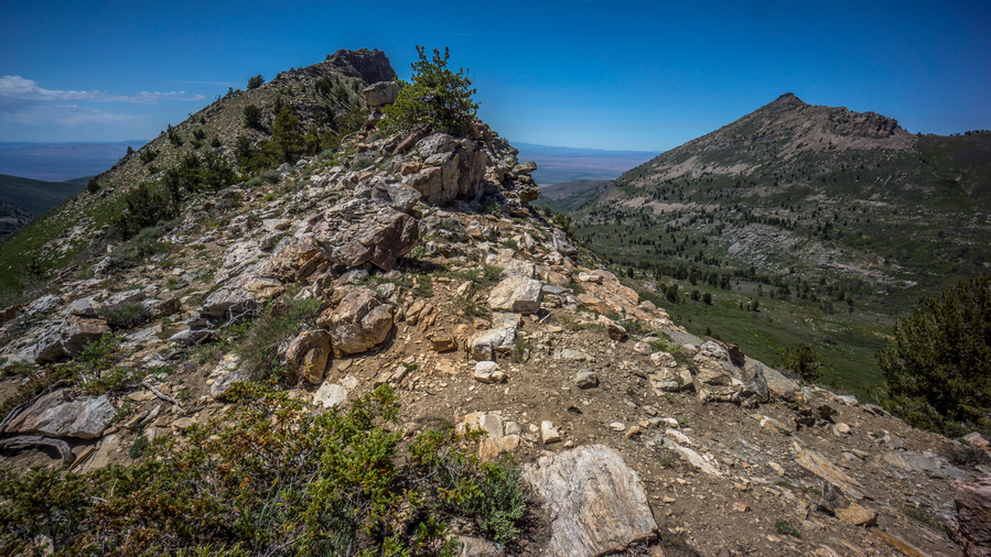 view from pass in east humboldt mountains nevada