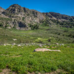 Basin and Range Trail Thru Hike Section 7 103