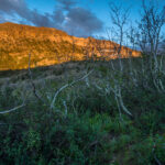 Basin and Range Trail Thru Hike Section 7 120