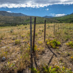 East Humboldt Range Fence Line