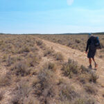 Basin and Range Trail Thru Hike Section 8 0008