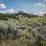 Basin and Range Trail Thru Hike Section 8 0010