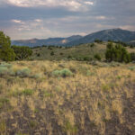 Pequop Range View