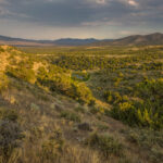 Nanny Creek, Pequop Range, Nevada