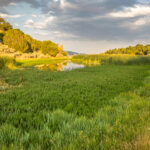 Nanny Creek, Pequop Range, Nevada