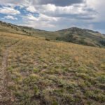 Hiking Trail in the Pequop Range, NV