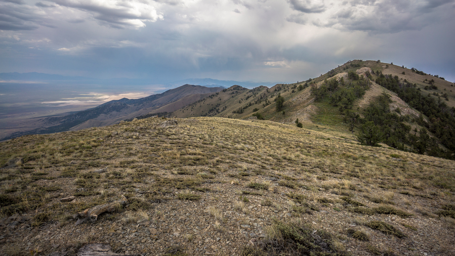 view of goshute valley from pequop range nevada