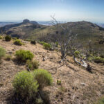 Basin and Range Trail Thru Hike Section 8 0133