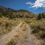 Basin and Range Trail Thru Hike Section 8 0138