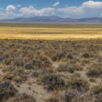 Goshute Valley Panorama
