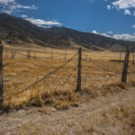 Basin and Range Trail Thru Hike Section 8 0145