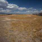 Animal Pen at Old Homestead
