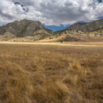 Basin and Range Trail Thru Hike – Goshute Valley
