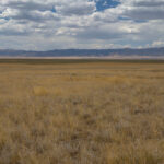 Hiking Antelope Valley Nevada