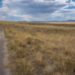 4×4 Road Through Antelope Valley nevada