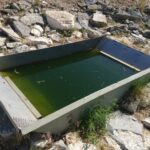 Nasty Green Water Source For Thru Hiker