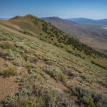 Basin and Range Trail Thru hike Section 6 098