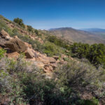 Basin and Range Trail Thru hike Section 6 101