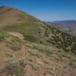 Basin and Range Trail Thru hike Section 6 107