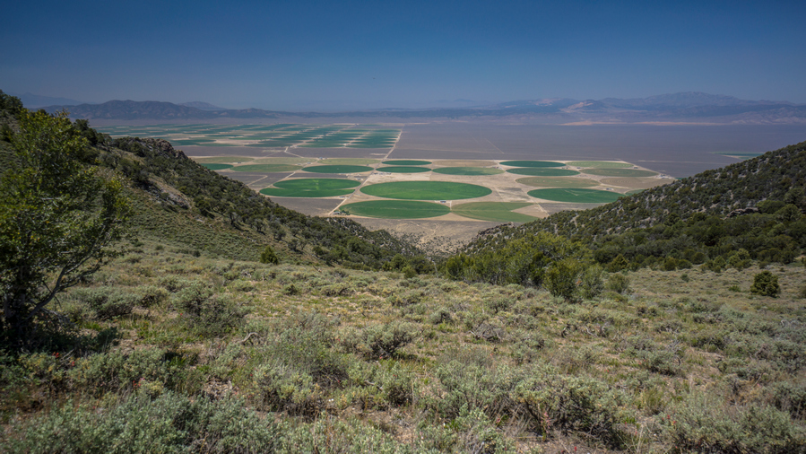 agriculture and farming in diamond valley nevada