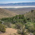 Basin and Range Trail Thru hike Section 6 114
