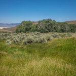 Basin and Range Trail Thru hike Section 6 120