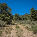 Basin and Range Trail Thru hike Section 6 147