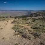 Basin and Range Trail Thru hike Section 6 150