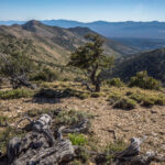 Basin and Range Trail Thru hike Section 6 156