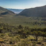 Basin and Range Trail Thru hike Section 6 175