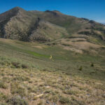 Basin and Range Trail Thru hike Section 6 193