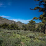 Basin and Range Trail Thru hike Section 6 196