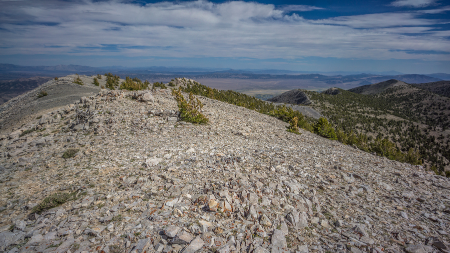 view south from the summit of pearl peak nevada