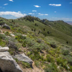 Basin and Range Trail Thru hike Section 6 297