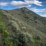 Basin and Range Trail Thru hike Section 6 312