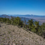 Basin and Range Trail Thru hike – Beck Peak Summit