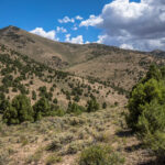 Basin and Range Trail Thru hike – Beck Peak Wilderness