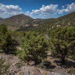Basin and Range Trail Thru hike – Beck Peak Wilderness