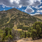 Basin and Range Trail Thru hike Section 9 – SChell Creek Range Traverse