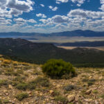 Basin and Range Trail Thru hike Section 9 – Schell Creek Range