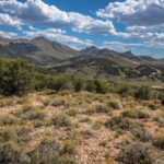Basin and Range Trail Thru hike Section 9 – Schell Creek Range