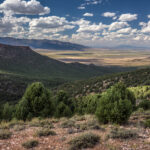 Basin and Range Trail Thru hike Section 9 – Schell Creek Range