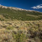 Basin and Range Trail Thru hike Section 9 0052