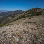 Basin and Range Trail Thru hike Section 9 0089