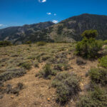 Basin and Range Trail Thru hike Section 9 0111