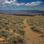 Basin and Range Trail Thru hike – Schell Creek Range Traverse