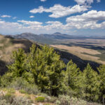 Basin and Range Trail Thru hike Section 9 0116