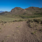 Basin and Range Trail Thru hike Section 9 0179